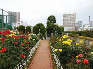 港区バラ園