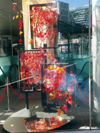 タワービル秋の装飾