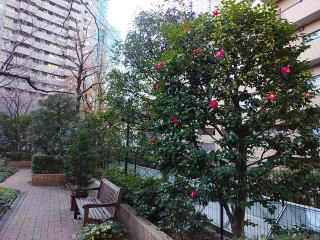 アークヒルズ メインガーデン