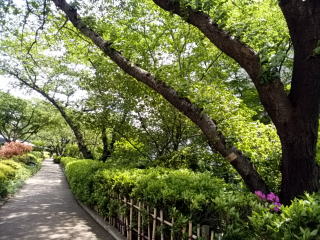 グランドプリンスホテル新高輪日本庭園