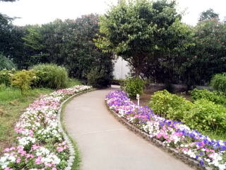 芝公園花の歩道