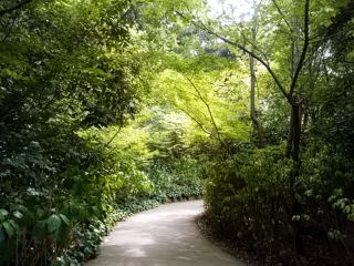 芝公園緑の歩道