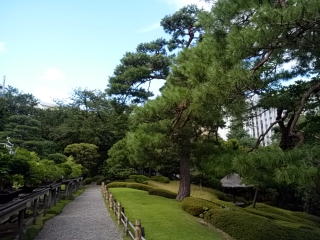 白金台八芳園日本庭園歩道