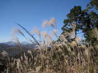一丁平からの眺望